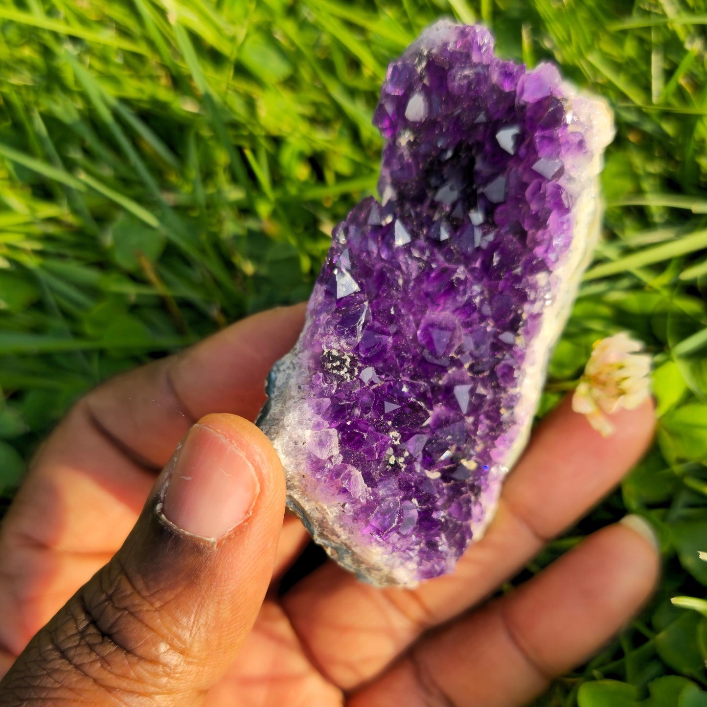 Natural Amethyst Geode Crystal Cluster: February Birthstone 40g-100g Gifts for Friends and Family