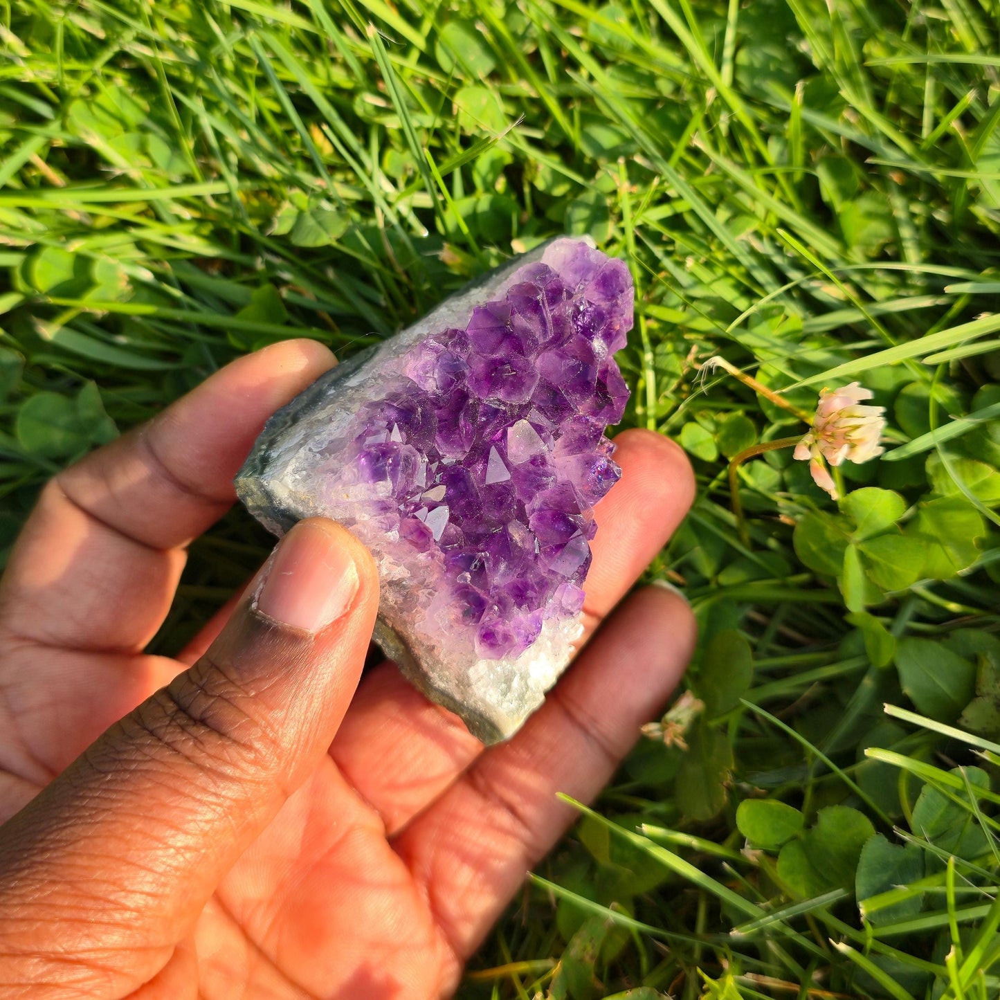 Natural Amethyst Geode Crystal Cluster: February Birthstone 40g-100g Gifts for Friends and Family